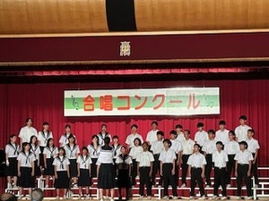 image12.jpeg