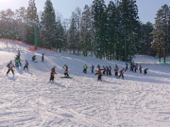 DSC_3965_copy_240x180.jpg