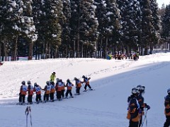 DSC_3966_copy_240x180.jpg