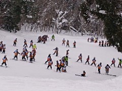 DSC_3981_copy_240x180.jpg