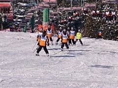 DSC_4052_copy_240x180.jpg